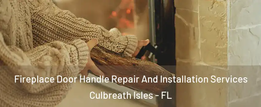 Fireplace Door Handle Repair And Installation Services Culbreath Isles - FL