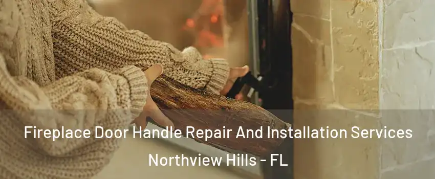 Fireplace Door Handle Repair And Installation Services Northview Hills - FL