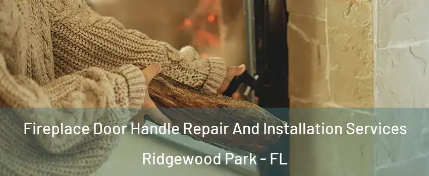 Fireplace Door Handle Repair And Installation Services Ridgewood Park - FL