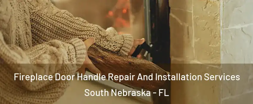 Fireplace Door Handle Repair And Installation Services South Nebraska - FL