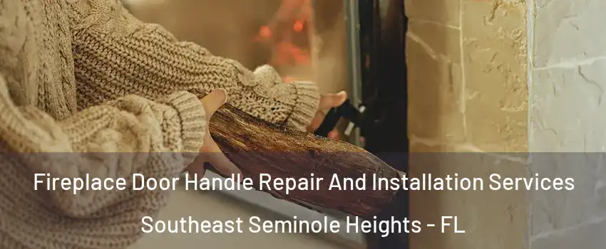 Fireplace Door Handle Repair And Installation Services Southeast Seminole Heights - FL