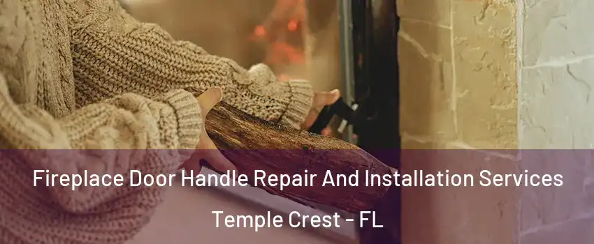Fireplace Door Handle Repair And Installation Services Temple Crest - FL