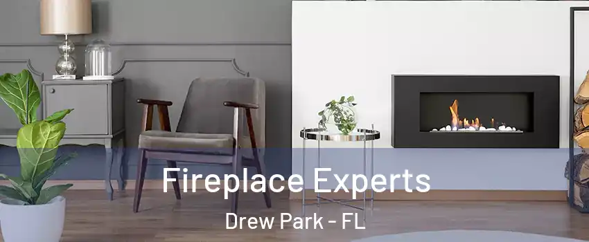 Fireplace Experts Drew Park - FL