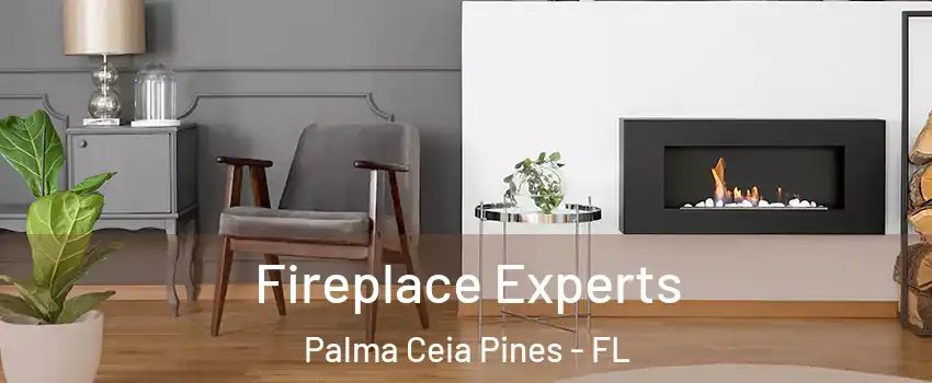 Fireplace Experts Palma Ceia Pines - FL