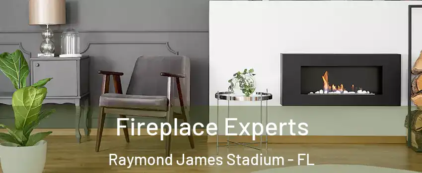 Fireplace Experts Raymond James Stadium - FL