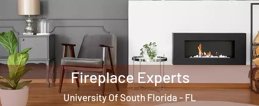Fireplace Experts University Of South Florida - FL