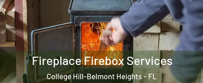 Fireplace Firebox Services College Hill-Belmont Heights - FL