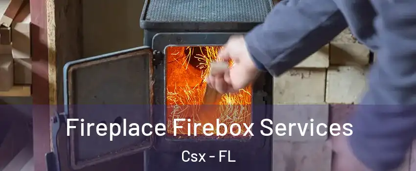 Fireplace Firebox Services Csx - FL