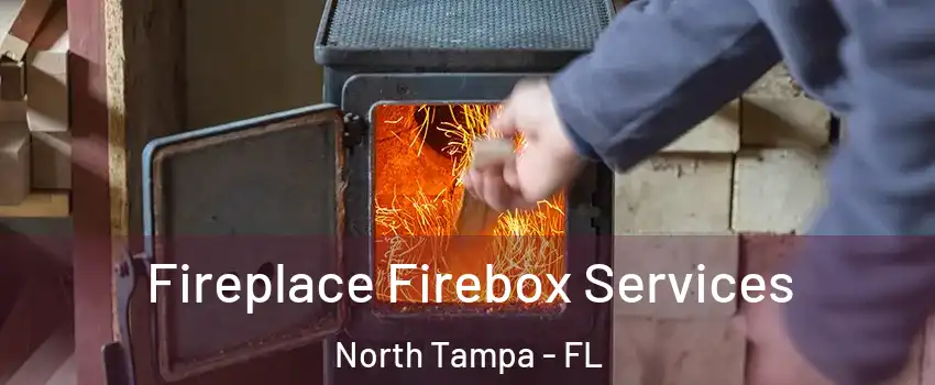 Fireplace Firebox Services North Tampa - FL