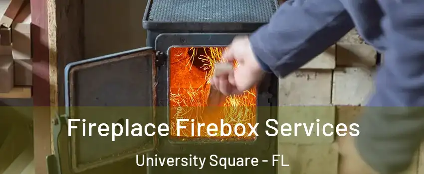Fireplace Firebox Services University Square - FL