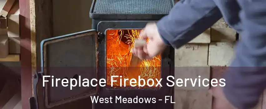 Fireplace Firebox Services West Meadows - FL