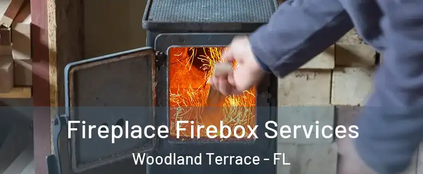 Fireplace Firebox Services Woodland Terrace - FL