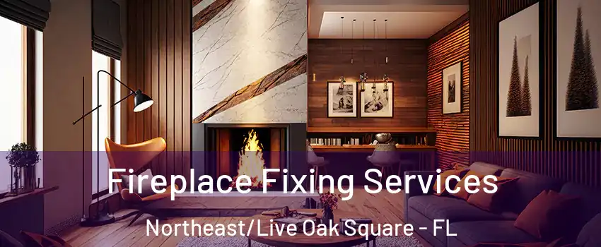 Fireplace Fixing Services Northeast/Live Oak Square - FL