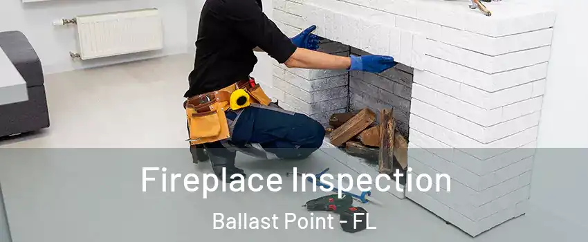 Fireplace Inspection Ballast Point - FL