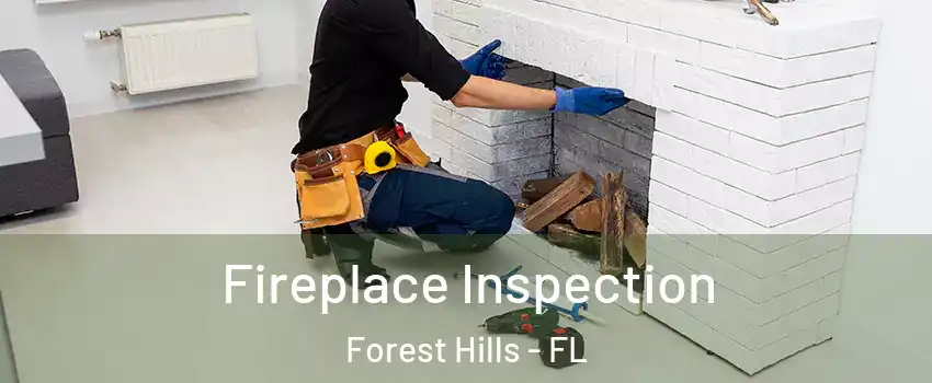 Fireplace Inspection Forest Hills - FL