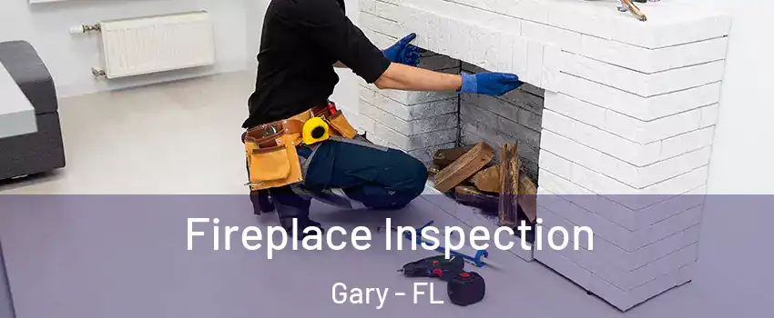 Fireplace Inspection Gary - FL