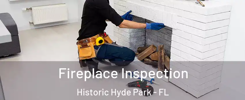 Fireplace Inspection Historic Hyde Park - FL
