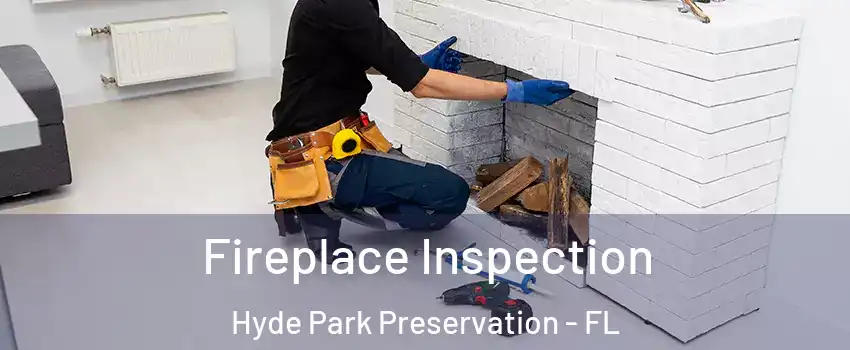 Fireplace Inspection Hyde Park Preservation - FL