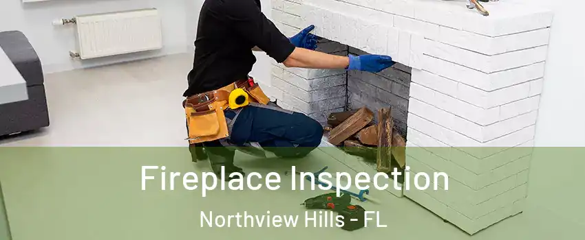 Fireplace Inspection Northview Hills - FL