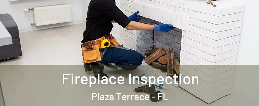 Fireplace Inspection Plaza Terrace - FL