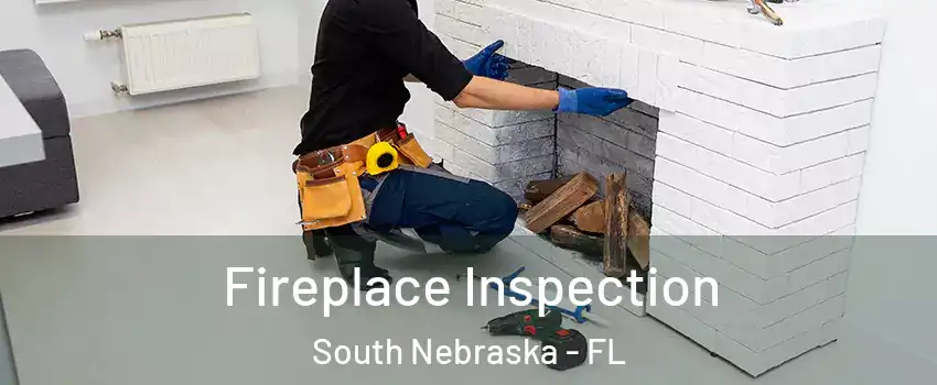 Fireplace Inspection South Nebraska - FL