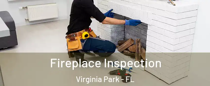 Fireplace Inspection Virginia Park - FL
