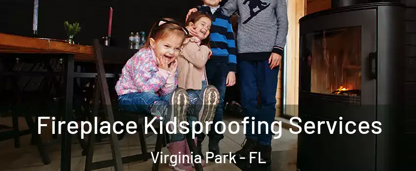 Fireplace Kidsproofing Services Virginia Park - FL