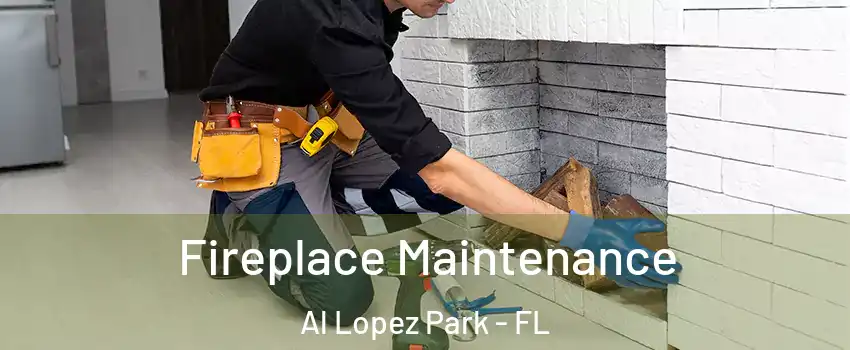 Fireplace Maintenance Al Lopez Park - FL