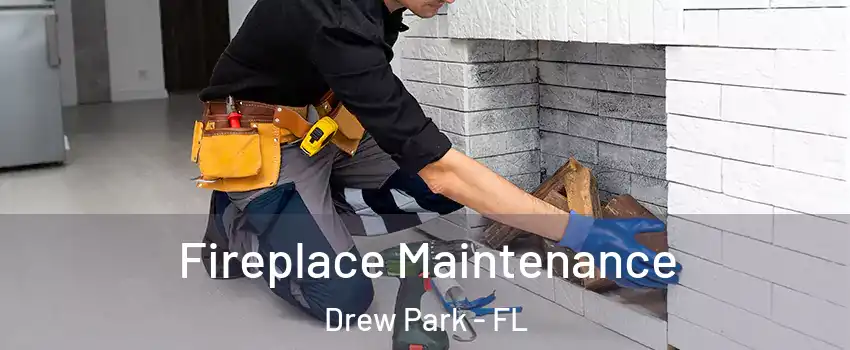 Fireplace Maintenance Drew Park - FL