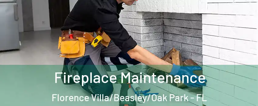 Fireplace Maintenance Florence Villa/Beasley/Oak Park - FL