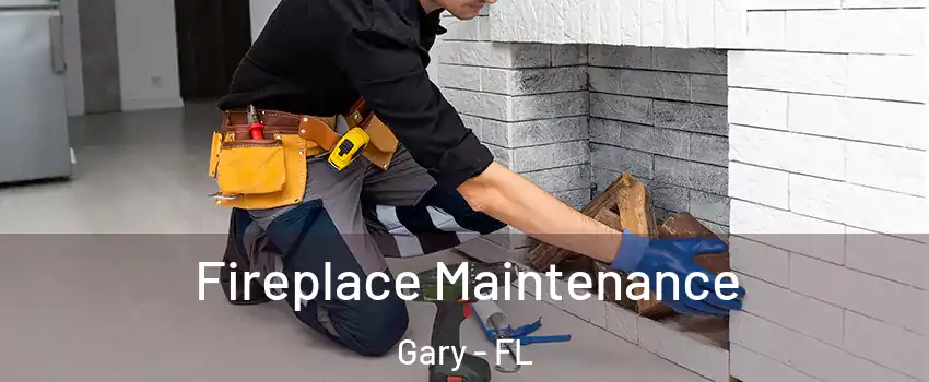 Fireplace Maintenance Gary - FL