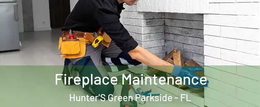 Fireplace Maintenance Hunter'S Green Parkside - FL
