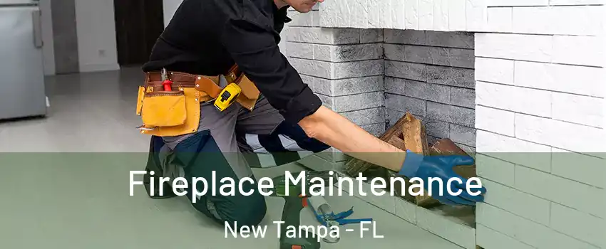 Fireplace Maintenance New Tampa - FL