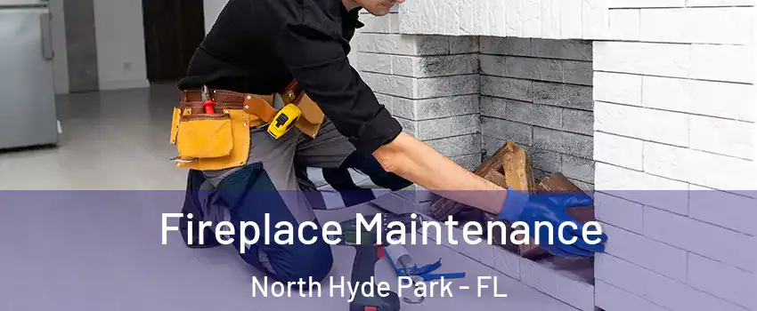 Fireplace Maintenance North Hyde Park - FL