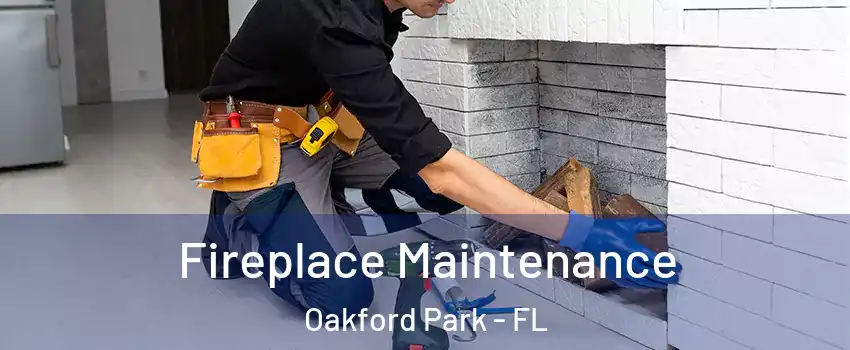 Fireplace Maintenance Oakford Park - FL