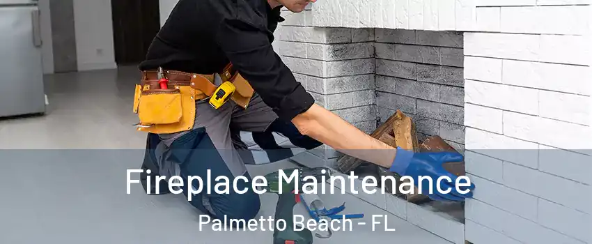 Fireplace Maintenance Palmetto Beach - FL