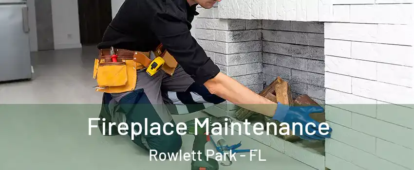 Fireplace Maintenance Rowlett Park - FL