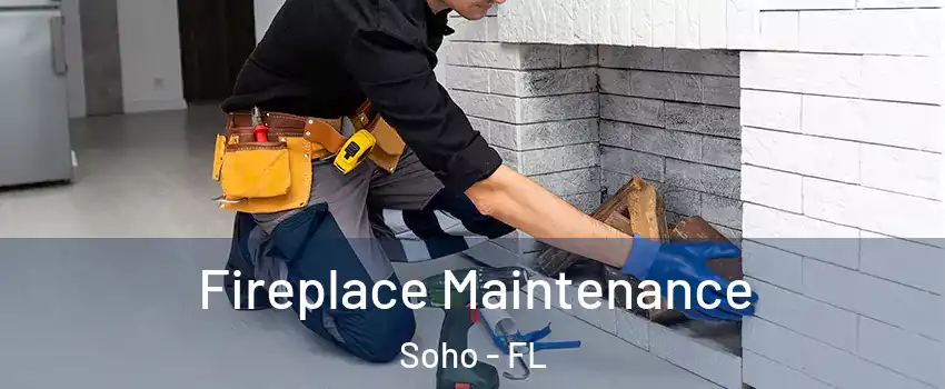Fireplace Maintenance Soho - FL