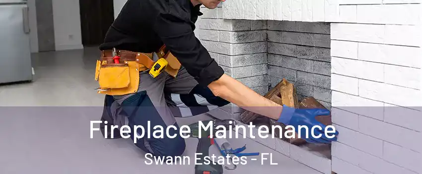 Fireplace Maintenance Swann Estates - FL