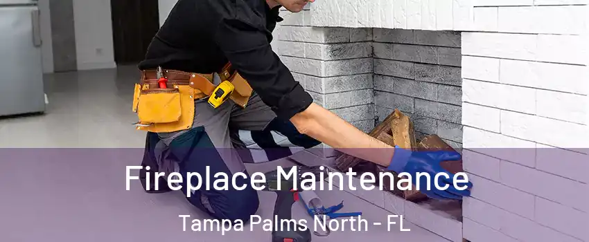 Fireplace Maintenance Tampa Palms North - FL