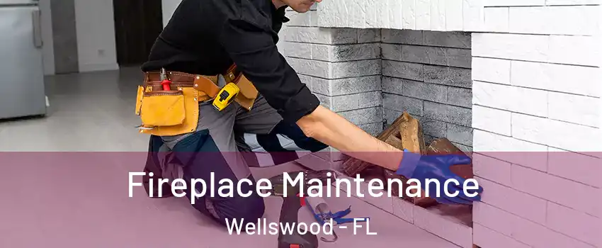 Fireplace Maintenance Wellswood - FL