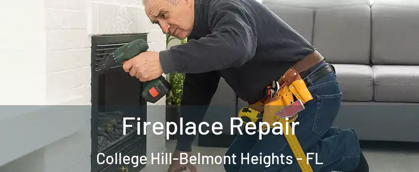 Fireplace Repair College Hill-Belmont Heights - FL