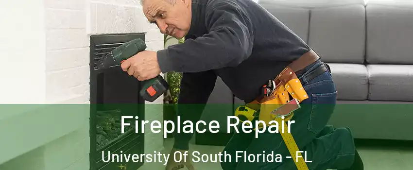 Fireplace Repair University Of South Florida - FL
