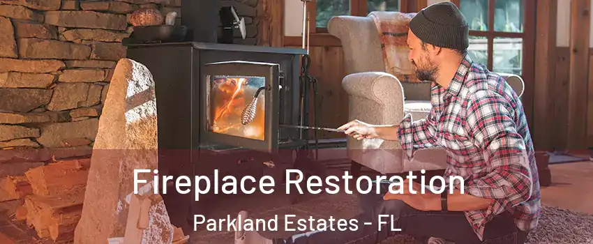 Fireplace Restoration Parkland Estates - FL