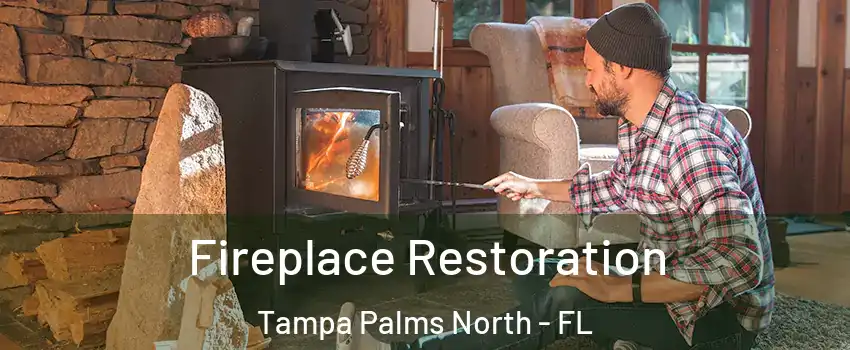 Fireplace Restoration Tampa Palms North - FL