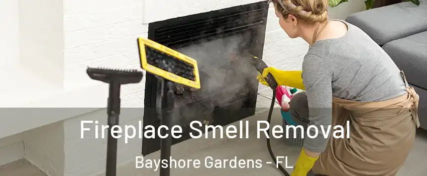 Fireplace Smell Removal Bayshore Gardens - FL