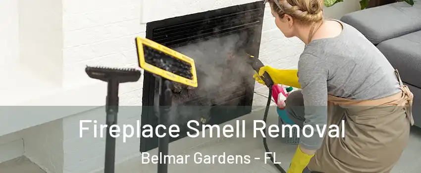Fireplace Smell Removal Belmar Gardens - FL
