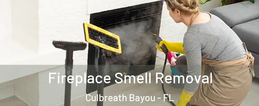 Fireplace Smell Removal Culbreath Bayou - FL