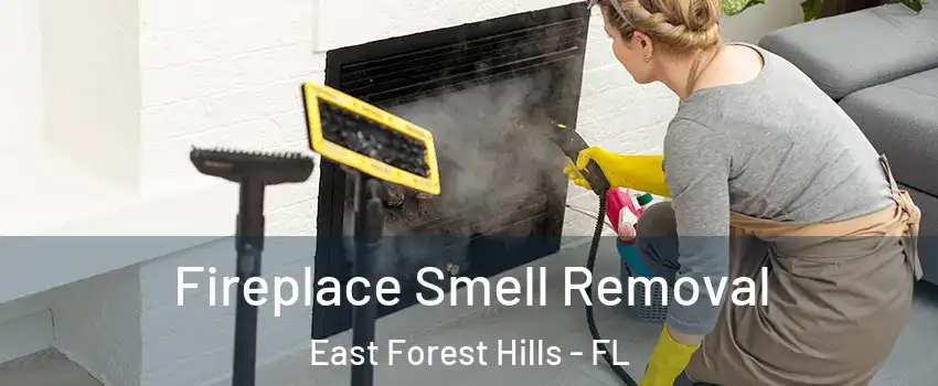 Fireplace Smell Removal East Forest Hills - FL