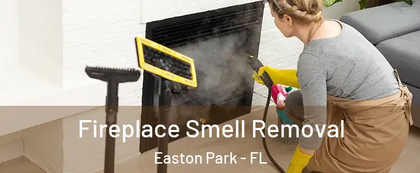 Fireplace Smell Removal Easton Park - FL